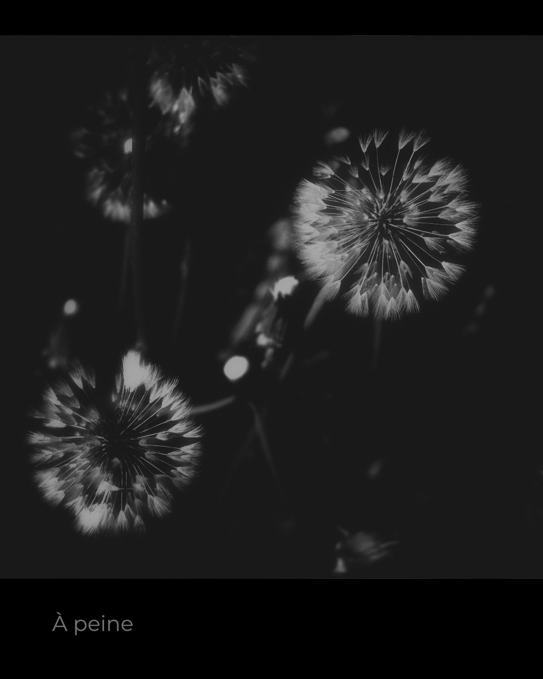 Seuil